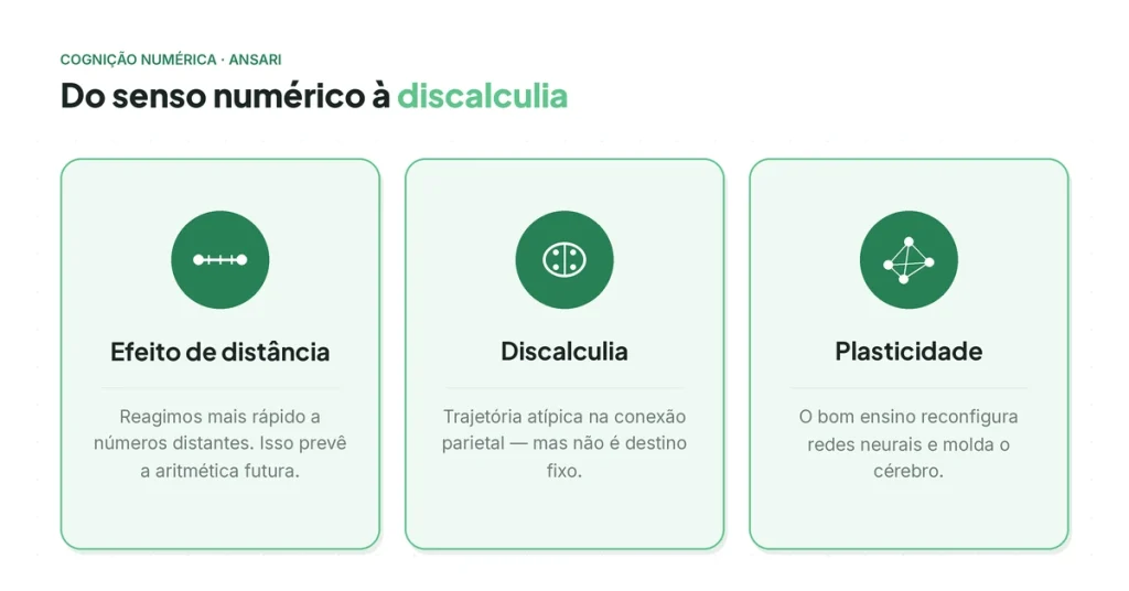 Senso numérico à Discalculia.